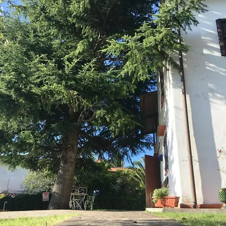 Casa Bianca Pool With Sea View, Fenced Garden, Barbecue By Toscanatour * Castellina Marittima