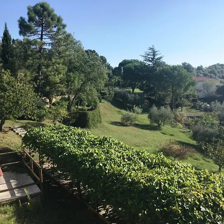 Casa Bianca Pool With Sea View, Fenced Garden, Barbecue By Toscanatour Castellina Marittima